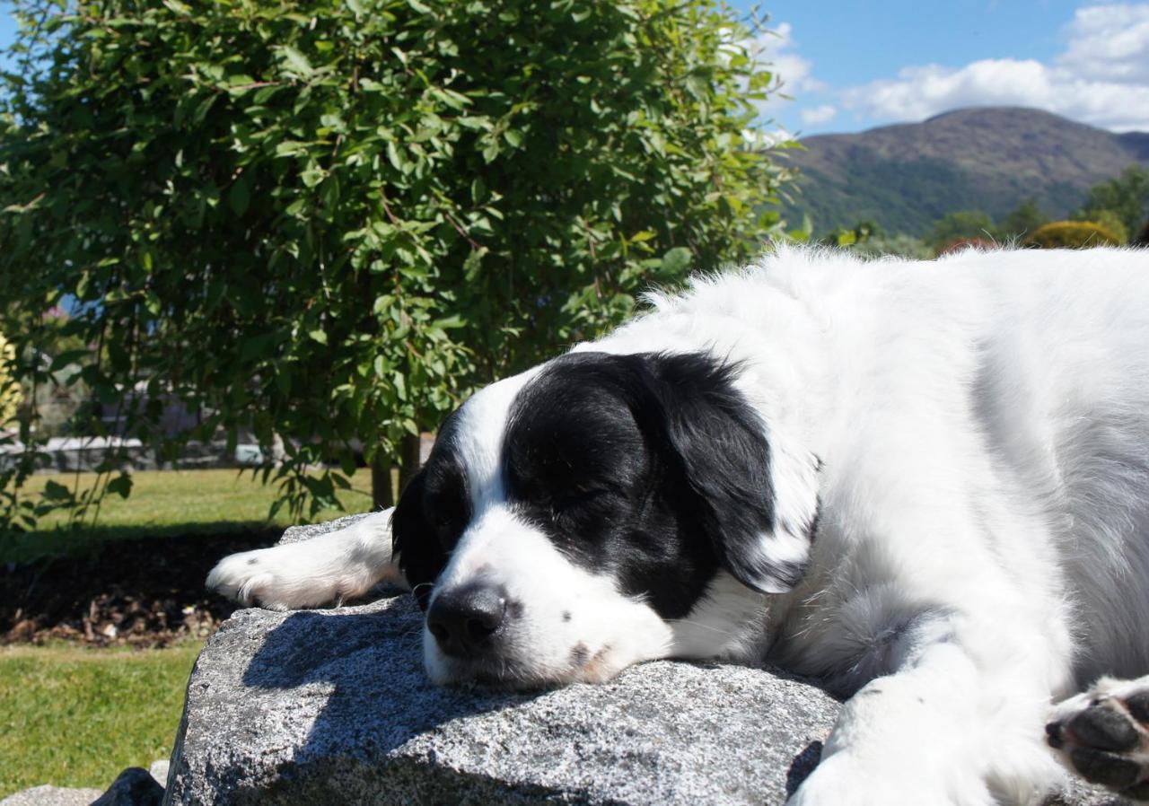 The Allanbreck Studio Glencoe Ballachulish Highlands Near Fortwilliam Eksteriør bilde